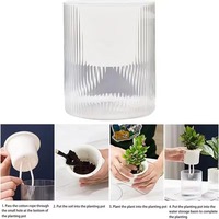 Pot de plante auto-arrosant en plastique transparent, pot de fleurs hydroponique, pot de fleurs à absorption automatique d'eau pour l'intérieur, décoration de bonsaï pour la maison