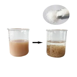 Prodotti chimici per il trattamento delle acque poliacrilammide PAM flocculante per il trattamento dei fanghi di depurazione