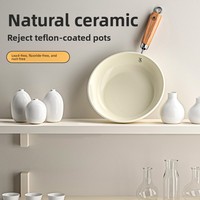 Poêle à frire en céramique antiadhésive, poêle de cuisine pour œufs, crêpes, steaks, compatible avec les cuisinières à induction et à gaz