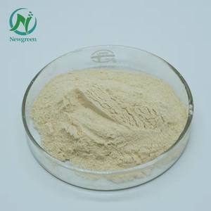 นิวกรีน ซัพพลาย ผงเฮสเพอริดินธรรมชาติคุณภาพสูง 98% เฮสเพอริดิน - Product Image 3