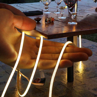 5V Ultra-étroit 3mm de large bande lumineuse LED Cob corps en PVC auto-adhésif blanc chaud pour l'éclairage décoratif à la maison