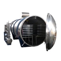 Dried Fruit Vacuum Dryer