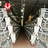 Cage à poulets de chair de type H à 3 niveaux, cage de batterie automatique pour poulets de chair, plancher en plastique, abreuvoir à tétine, convoyeur à fumier, acier galvanisé