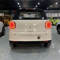 Voiture électrique écologique - Véhicule à énergie nouvelle à longue autonomie, Véhicule électrique très demandé pour la famille