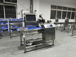 Kapsül ağırlığı kontrol makinesi kontrol konveyör 100g kantar fiyat - Product Image 3