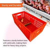 YYC Caisses de rangement pliables en plastique de haute qualité, paniers à légumes et fruits, caisses de transport pliables pour œufs