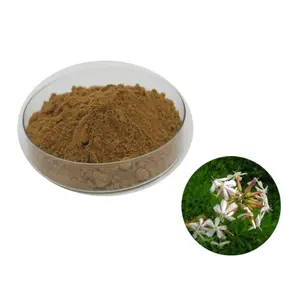 Hot Sale 4:1 Ashwagandha Powder Ashwagandha Extract Powder Ashwagandha Extract