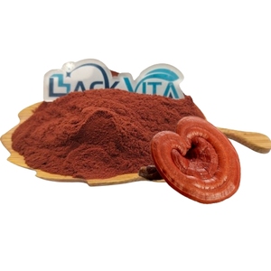 Reishi-Pulver 10% Triterpene Rotes Reishi-Pilz-Extrakt-Pulver Rotes Reishi-Pulver - Product Image 1