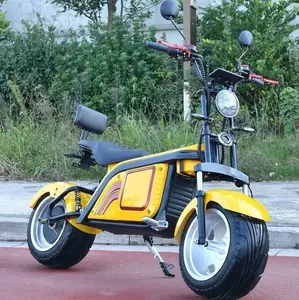 Ce eec pneu gordo de 13 polegadas, 2 rodas citycoco scooter elétrico legal adulto 2000w bateria de lítio bicicleta elétrica