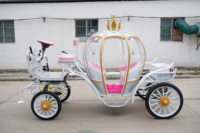 Nouvelle Arrivée Professionnelle : Carrosse Électrique Rose Princesse Cendrillon à Chariot de Citrouille pour Mariage
