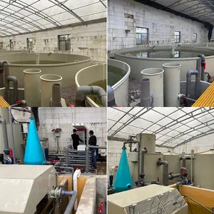 Zhonghang Custom High Density Recirculating Aquaculture Systems Ras Prawn For Fish Farming