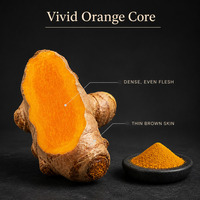 Poudre d'extrait de racine de curcuma sauvage, extrait végétal doré brillant pour l'arôme alimentaire et l'usage quotidien