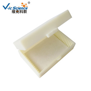 Sea urchin egg 2-cell slide, Echinodermata, plant and animal sections, biology teaching equipment, <b>microscope</b>. - Product Image 2