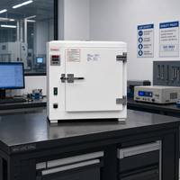 Four de séchage électrothermique thermostaté à ventilateur de haute qualité 300 ℃   Incubateur à haute température pour laboratoire
