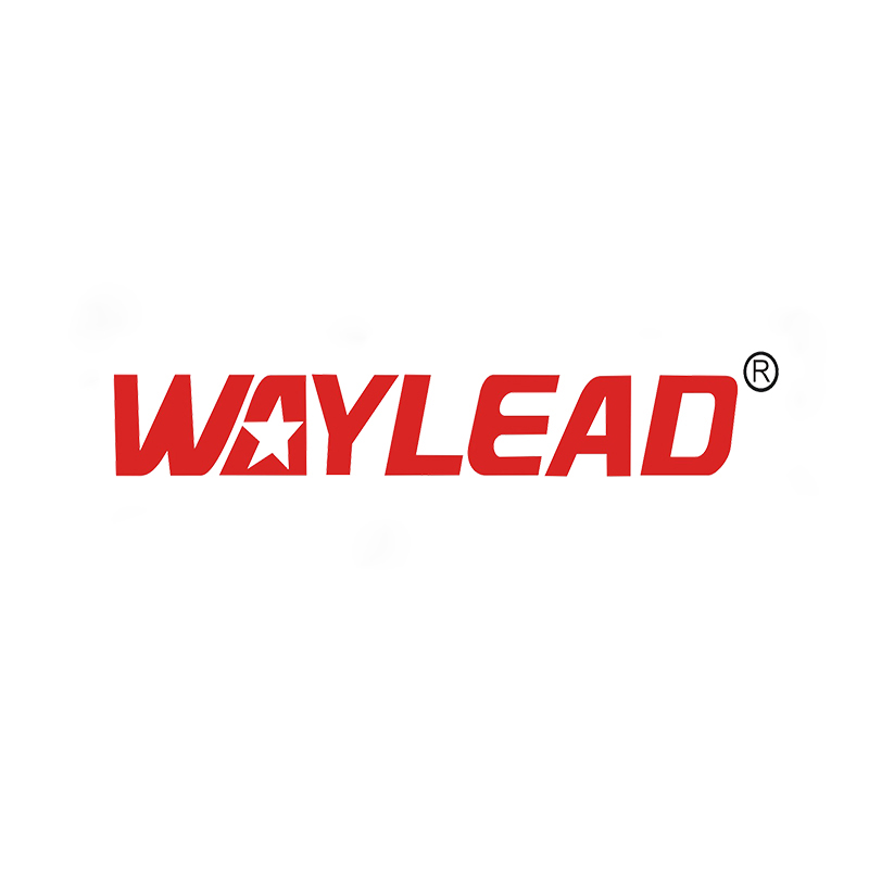 Cixi Waylead Electric Motor Manufacturing Co., Ltd. logo