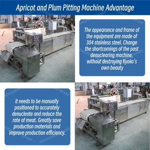 Máquina Deshuesadora de Fruta de Albaricoque de Alta Calidad, Máquina Eléctrica para Quitar Semillas de Fruta, Máquina para Quitar Huesos de Albaricoque y Aceitunas - Product Image 4