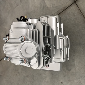 250cczongshen 2 <b>Engine</b> With Balance Shaft Zs172fmm-5 72mm for Dirt Bike <b>Motorcycle</b> <b>Assembly</b> <b>Engine</b> 250cczongshen - Product Image 3