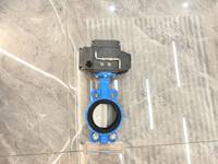 Vanne papillon de décharge manuelle de ventilation de 10 pouces de diamètre DN125 pour l'eau en fonte ductile/acier inoxydable/cuivre