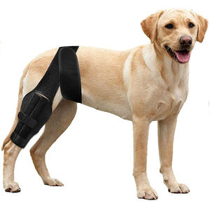 Genouillère orthopédique OEM pour <span class=keywords><strong>chien</strong></span> Acl Pet Genouillère Protecteur Jambe Récupération Manchon Attelle Réduit Les Douleurs Articulaires <span class=keywords><strong>Chien</strong></span> Genouillère - Product Image 2