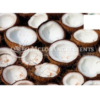 Poudre de lait de coco naturelle, alternative végétale aux produits laitiers pour la cuisine, la pâtisserie, les smoothies, le café et l'alimentation quotidienne.