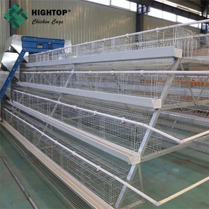 Nigeria Uganda mercado Zambia galvanizado jaula <span class=keywords><strong>pollo</strong></span> huevo - Product Image 2