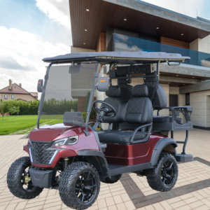 Tùy chỉnh khu vực sang trọng tùy chỉnh khu vực sang trọng 48V Xe golf điều khiển - Product Image 1