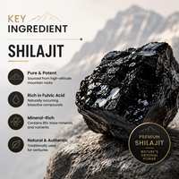 Gummies de Shilajit Standardisées, 50 % d'Acide Fulvique, Matrice Minérale de Haute Pureté, Vérifiées en Laboratoire, Vente en Gros, OEM, Usine Certifiée GMP ISO