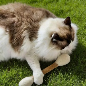 Juguete para Gato <span class=keywords><strong>de</strong></span> Fieltro <span class=keywords><strong>de</strong></span> Lana Gigante Tipo Algodón - Product Image 4