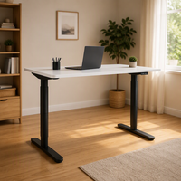 Bureau debout électrique intelligent ergonomique à double moteur, moderne et convertible, avec colonnes ovales à trois niveaux – Vente chaude