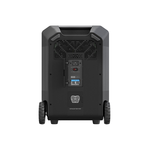 Centrale Électrique Portable Solaire E-Nice 600W 2kW 3kW pour Génération Hors Réseau – Fabricants de Systèmes Autonomes S3-5 Respirants - Product Image 4