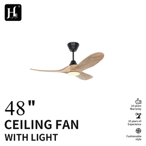 48-inch LED Ceiling Fan, 220V, Ventilation Technology, Customizable LED <b>Wireless</b> Ceiling Fan with Light - Product Image 2
