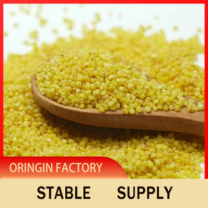 <span class=keywords><strong>Millet</strong></span> Golden Sprout K1 Première Récolte Nouvelle Récolte Céréales Séchées pour Porridge du Petit-Déjeuner Parfumé et Doux 2,5 kg Non-Glutineux Sans Additifs - Product Image 5