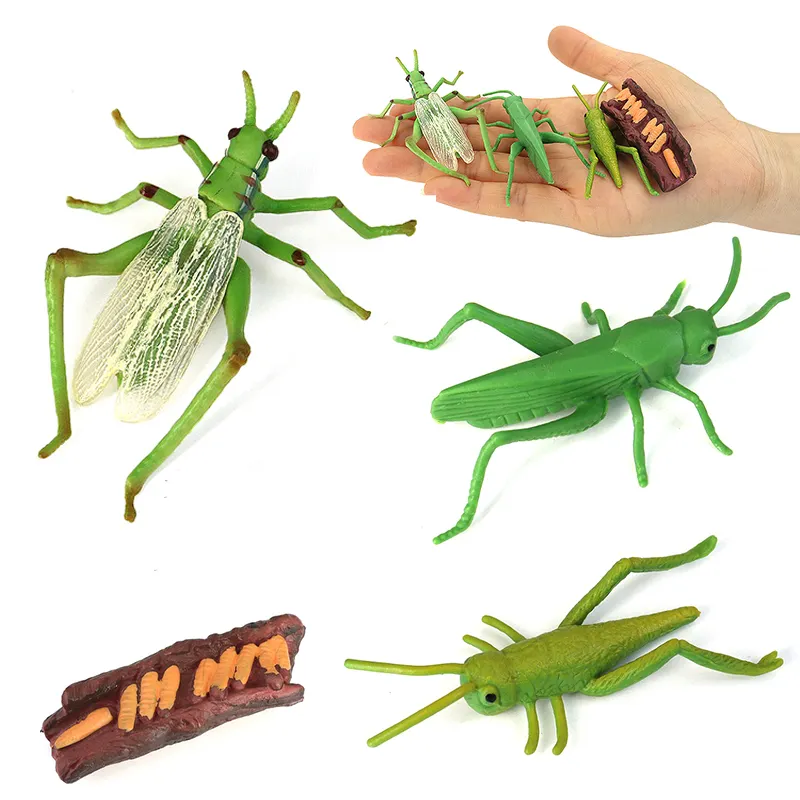 PVCリアルな昆虫の世界動物モデルのおもちゃ子供のギフトパズルシミュレートされたバッタパズル昆虫の彫刻リアル