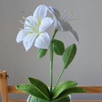 Plante en pot Amaryllis au crochet de luxe exclusive, artisanale, en fil de laine haut de gamme, fleurs artificielles haut de gamme pour la décoration intérieure