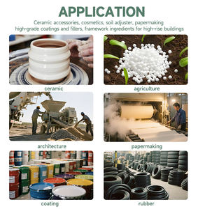1250 maille 100% poudre d'illite naturelle blanche industrielle <span class=keywords><strong>de</strong></span> qualité supérieure remplisseur <span class=keywords><strong>de</strong></span> revêtement en céramique réfractaire bonne isolation argile 99.9% - Product Image 5
