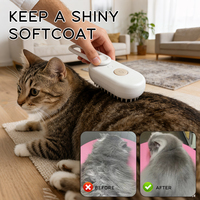 Nouvelle brosse pour animaux de compagnie 3-en-1 brosse à la vapeur toilettage peigne de Massage des cheveux auto-nettoyant épilateur Spray vapeur brosse à cheveux
