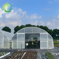 Serre tunnel agricole en acier galvanisé avec film plastique écologique pour la culture de tomates, laitues et poivrons