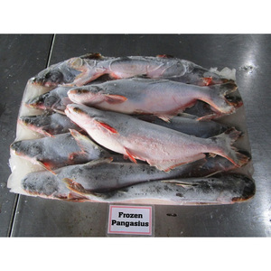 Poisson Pangasius / Filet de Pangasius / Poisson Basa à vendre Fournisseur Vietnamien - Product Image 6