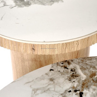 Ensemble de 2 tables basses gigognes rondes écologiques modernes avec base en bois couleur naturelle pour salon