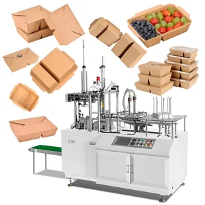 Tek kullanımlık Fast Food ambalaj kutuları paketleme makinesi öğle yemeği kağit kutu şekillendirme makineleri