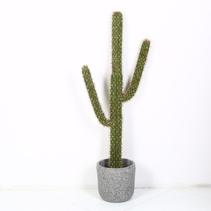Plastique <span class=keywords><strong>Cactus</strong></span> Succulentes grandes plantes artificielles en pot - Product Image 5