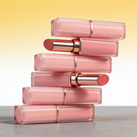 Conteneur vide pour gloss à lèvres de 4 ml, bouchon à vis en plastique, tube de gloss à lèvres rose rouge personnalisable, flacon d'huile à lèvres, logo personnalisé