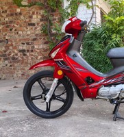 Moto Direct Haojue Xi Yun 110cc à Enjambement Bas, Moteur Refroidi par Air, Économique en Carburant pour les Trajets Urbains