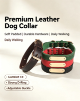 Collier d'entraînement de luxe élégant pour chien et chat OEM ODM, en cuir véritable personnalisé, réglable, à dégagement rapide, moderne, souple, avec plaque nominative métallique gravée