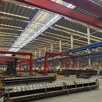 Pabrik Struktur Baja Bangunan Rangka Baja Industri yang Dapat Disesuaikan untuk Pabrik Aluminium Elektrolitik