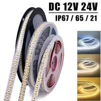 Bande lumineuse à LED DC12V/24V, IP20/IP65/IP67led pour carré, jardin, bar, parc, extérieur, éclairage intérieur, bande lumineuse 240LED/M