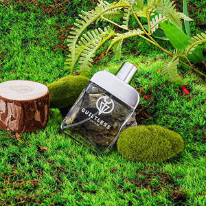 100mL Mens Colognes Woody Parfum <span class=keywords><strong>Precio</strong></span> al por mayor Perfume para hombres Perfume <span class=keywords><strong>de</strong></span> hombres <span class=keywords><strong>de</strong></span> alta calidad - Product Image 2