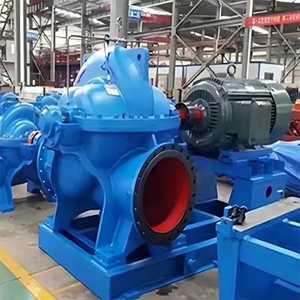 Professional Electric High Flow Single-Stage Double <b>Suction</b> <b>Pump</b> for Irrigation Agriculture - Product Image 6