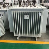 Transformateurs électriques triphasés immergés dans l'huile à bobinage en cuivre haute tension 30kVA 50kVA 250kVA 315kVA 750kVA