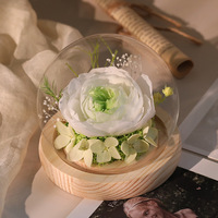 Élégante Pivoine Éternelle Préservée sous Cloche en Verre – Fleurs Naturelles Authentiques pour la Fête des Mères et la Décoration de Fêtes à Domicile
